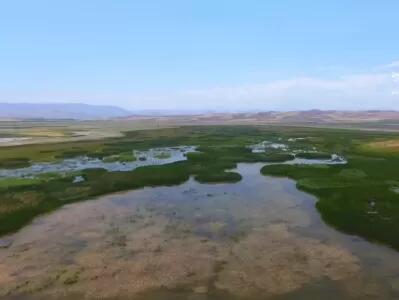 دریاچه شورگل اردبیل / جواهری طبیعی با مزایای درمانی