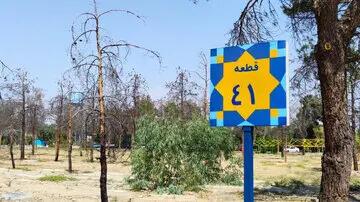 محسن برهانی حقوقدان: تخریب قبور قطعه ۴۱ بهشت زهرا غیرقانونی و باید متوقف شود/ مگر شهرداری مالک سنگ قبر مردم است، بگوید با سنگ قبرها چه‌کار کرده؟