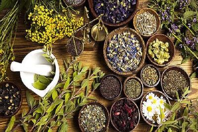 طب سنتی/ داروهای گیاهی برای دفع سنگ مثانه