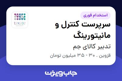 استخدام سرپرست کنترل و مانیتورینگ در تدبیر کالای جم