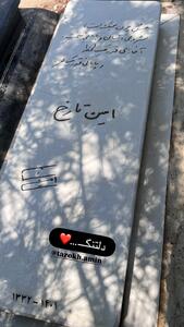 تصویری از سینا مهراد بر سر مزار امین تارخ