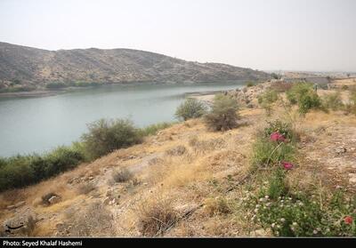 بررسی پروژه‌های حوزه آب و راه شهرستان‌های تنگستان و دشتستان- عکس صفحه استان تسنیم | Tasnim