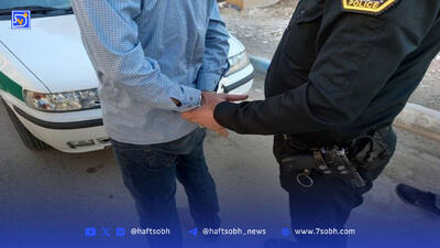 کشف یک تن چوب قاچاق در رباط کریم