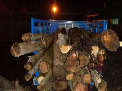 کشف یک تن چوب قاچاق در رباط کریم