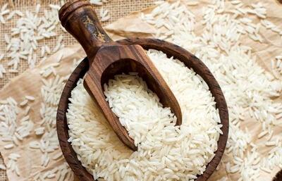 کاهش بی سابقه قیمت برنج ایرانی با آغاز برداشت محصول جدید