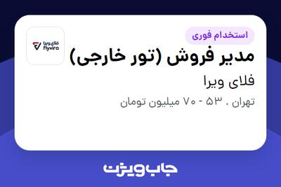 استخدام مدیر فروش (تور خارجی) در فلای ویرا