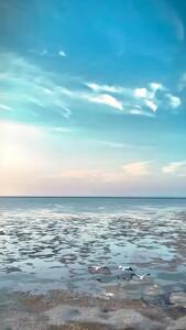 غروب زیبای بندر بوشهر، نقشی از آرامش در کنار دریا+ فیلم
