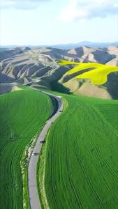ترکمن صحرا، بهاری سبز و پرشکوه+ فیلم