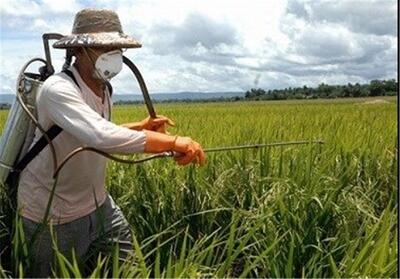 آغاز ثبت سفارش سموم آفات نباتی برای سال زراعی جدید از روزهای آینده - تسنیم