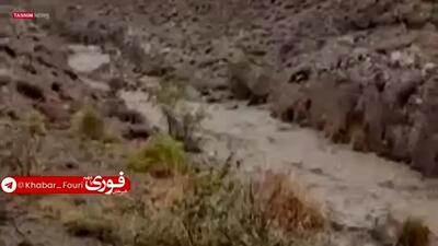 ببینید| بارش شدید مونسون سرگز سیاهو را غافلگیر کرد