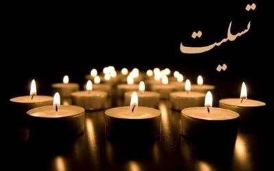 بازیگر سینما و تلویزیون درگذشت + عکس و فیلم