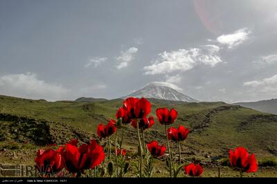 مناطق اطراف تهران برای سفرهای یک روزه در گرمای تابستان