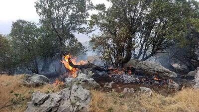 مهار آتش سوزی در منطقه گلیل خراسان شمالی توسط مرزداران