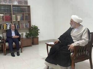 مدیرعامل هلدینگ سرمایه‌گذاری گروه توسعه ملی با آیت‌الله قمی دیدار کرد