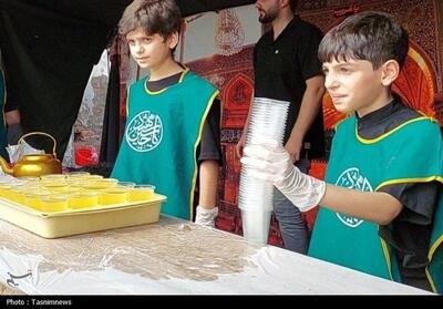 عزاداری علوی‌تباران مازندران در سوگ امام رئوف - تسنیم
