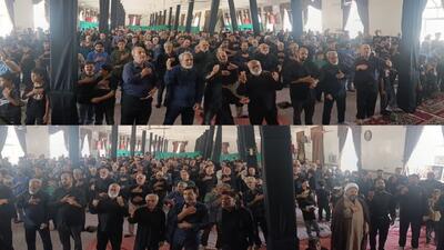 عشق و ارادت به سلطان خراسان بی پایان است/خراسان جنوبی در سوگ امام هشتم