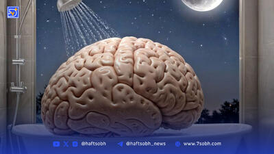 نقش کلسترول در عملکرد مغز