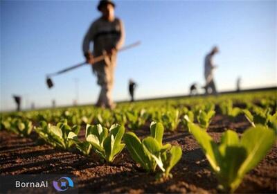 ایران فناوری تبدیل ماسه به خاک کشاورزی را بومی سازی می‌کند!