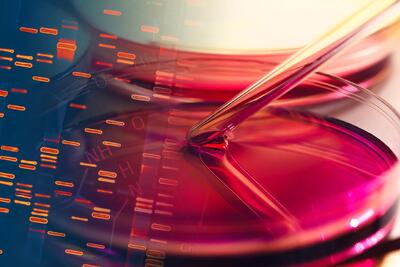 تحولی  شگفت‌انگیز در فناوری نانو | ساخت ساختارهای سه‌بعدی با DNA و آب