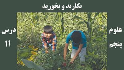 سوالات درس ۱۱ علوم پنجم + جواب