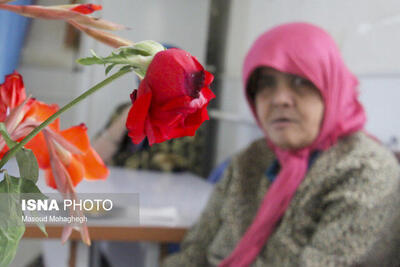 «تنهایی و انزوا» بزرگترین دغدغه سالمندان/ کمتر از ۱۰ درصد روان‌شناسان، به موضوع سالمندی پرداخته‌اند