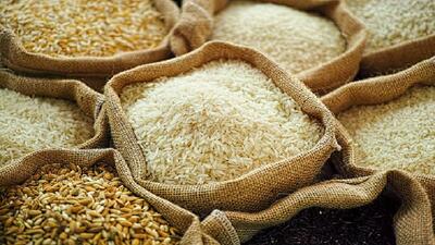 برنج پاکستانی با نرخ دولتی به بازار می‌آید
