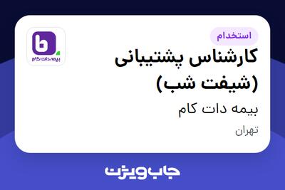 استخدام کارشناس پشتیبانی (شیفت شب) در بیمه دات کام