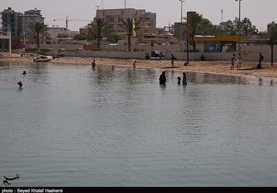 برخورد قاطع با هنجارشکنان در سواحل شمال - تسنیم