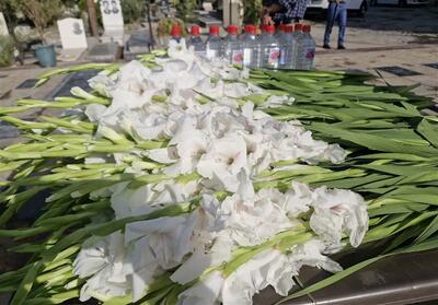 ‌تجدید میثاق مدیران مازندران با آرمان‌های شهدا در آغاز هفته دولت - تسنیم