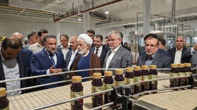 چرخ صنعت در نظرآباد وارد تولید شد