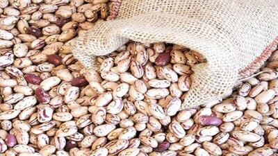 لوبیا چیتی ارزان شد/ قیمت هرکیلو لوبیا چیتی ۳۲۰ هزارتومان