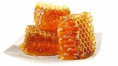 تولید ۲ هزارو ۳۶۴تن عسل در خراسان شمالی