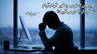 هورمون استرس چطور آرام‌آرام شما را از پا درمی‌آورد؟ (فیلم)