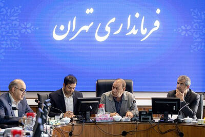 فرماندار تهران: مدیریت بحران به تقویت جدی نیاز دارد