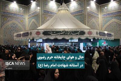 صفای دل زائران در کنار استکان‌های چای نذری حرم مطهر رضوی