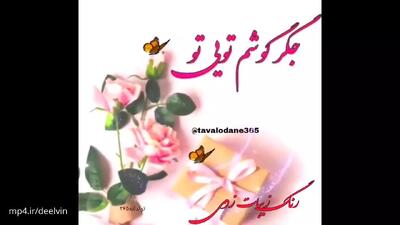 تولدت مبارک پسرم | کلیپ تولدت مبارک پسرم