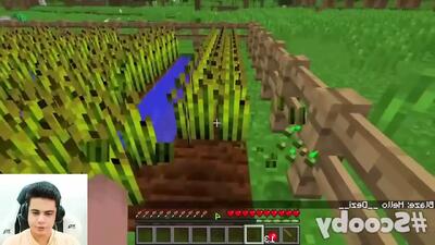ماینکرفت اما خرید اسلحه نوب ماینکرفت! ماینکرفت ماین کرافت ماین کرفت Minecraft