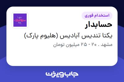 استخدام حسابدار در یکتا تندیس آبادیس (هلیوم پارک)