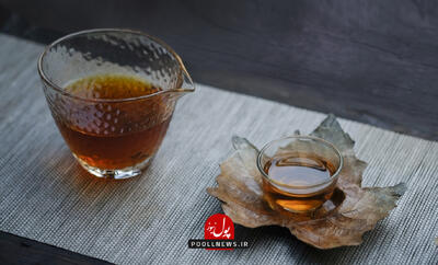 چای لاهیجان یا چای هندی؟ مقایسه‌ای همه جانبه