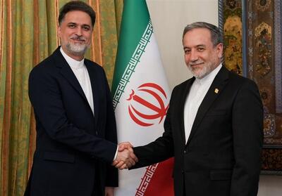 دیدار سفیر جدید ایران در کرواسی با عراقچی - تسنیم