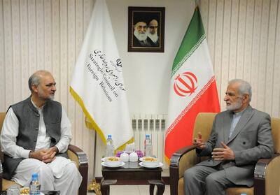 دبیرکل جماعت اسلامی پاکستان: انقلاب اسلامی یک الگو برای جهان اسلام است - تسنیم