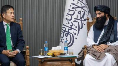 ژاپن متعهد به همکاری با افغانستان در مبارزه با مواد مخدر و ایجاد جایگزین های معیشتی است
