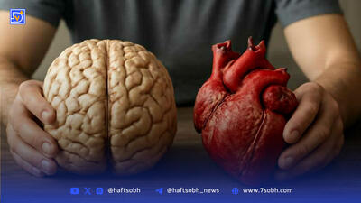 دلیل وابستگی سلامت قلب و ذهن به هم