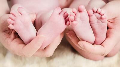 ۹۱ مورد چند قلوزایی در خراسان جنوبی به ثبت رسید