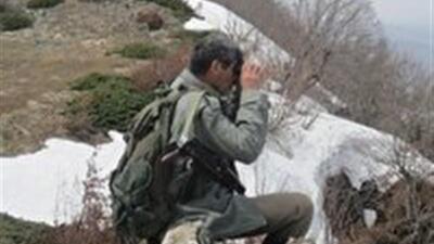 ۲۴ جنگلبان در برابر یک میلیون هکتار طبیعت زنجان