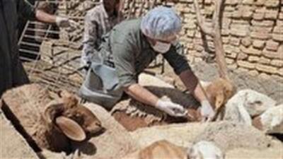 برگزاری اردوی جهادی دامپزشکی در چهار روستای بخش خضرآباد