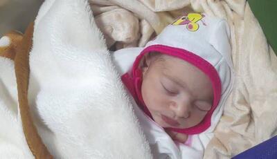 نوزاد عجول بوشهری که امتحان مادرش را نیمه‌تمام گذاشت