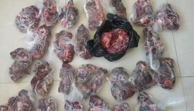 کشف لاشه ۲ راس کل وحشی در دورود لرستان