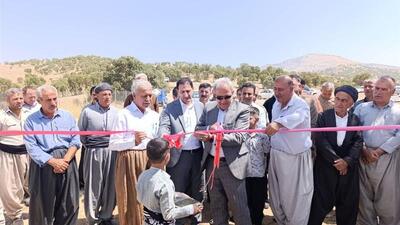 ایجاد اشتغال پایدار برای ۳۰ نفر در بانه با افتتاح میدان عرضه دام