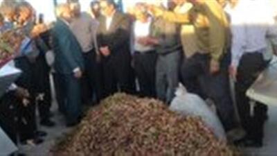 بهره برداری از سومین ترمینال فرآوری پسته در اسفراین